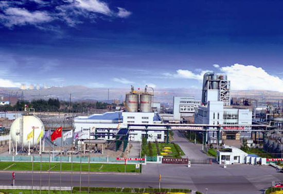 能源/化工行业全厂数字化工业电视系统